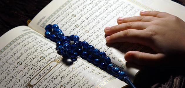 التمهيد والتجويد للمبتدئين